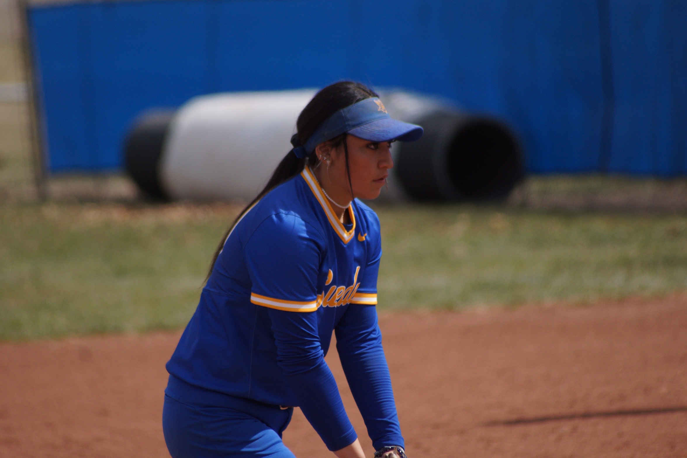 SWEDES CHIP AWAY IN SECOND GAME; NOT ENOUGH TO SWEEP PANTHERS