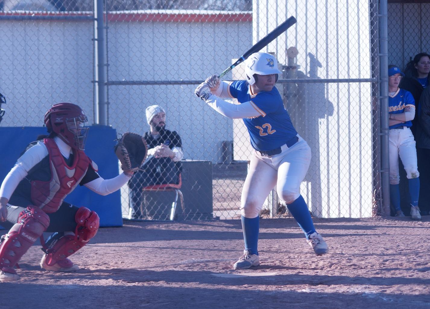 SWEDES MUSCLE OUT A SPLIT WITH FALCONS&nbsp;