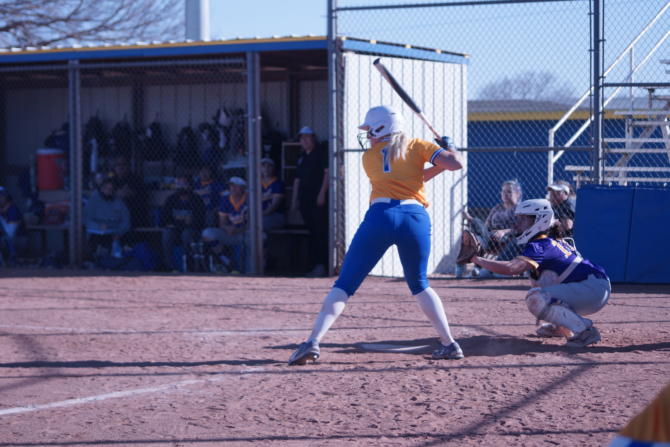 SWEDES SPLIT DOUBLEHEADER AGAINST BLUEJAYS